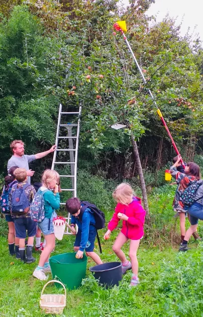 490909968_1224232313042987_700863634789728291_n