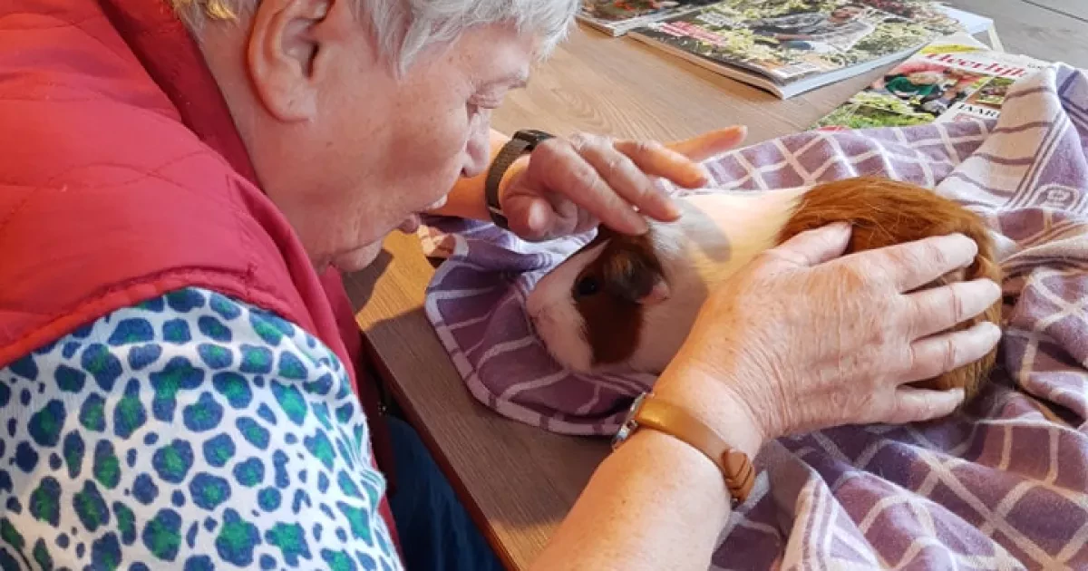 494543022_1239985788134306_948889702564846135_n