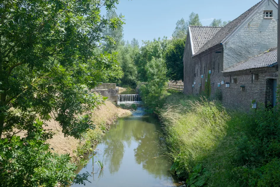 Sfeerfoto bijhorende wandeltocht en fiestocht 
