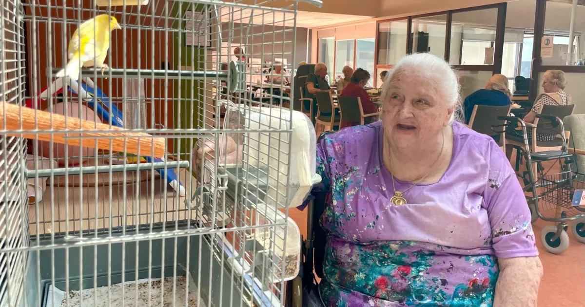 2b08e3df-e007-478b-a8a5-f86cc99e2e21