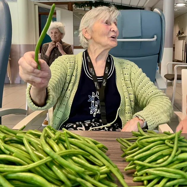 ccb0e90a-9c10-4fd8-aa9c-9fb0bd329232