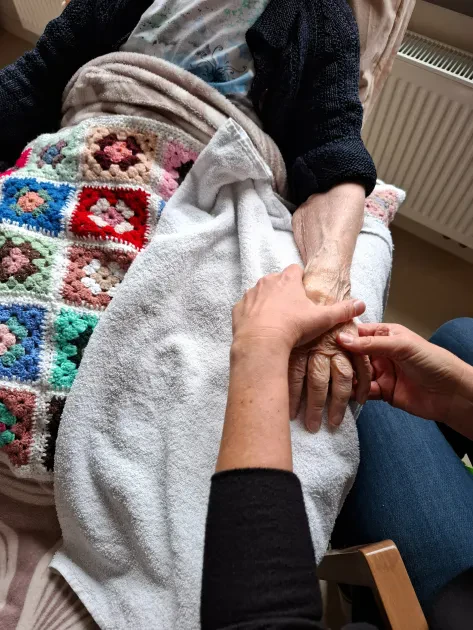 01K71D8PN2898F7GDE56CEDPDM-v1