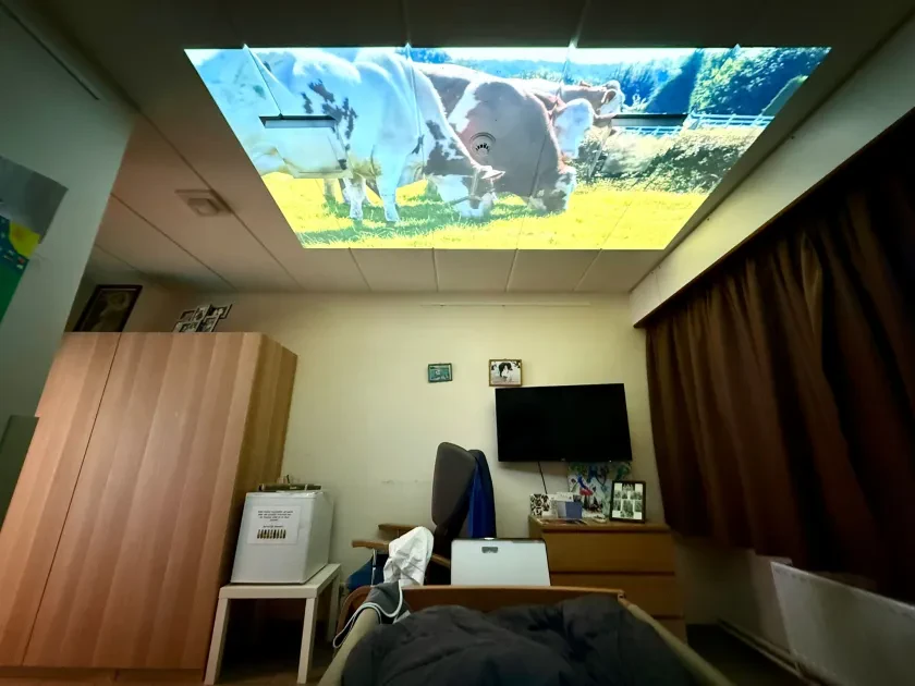 1fffa15d-6e9d-4b30-9cd7-9516252e6ec5